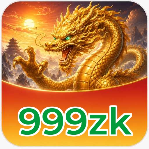 999zk Features